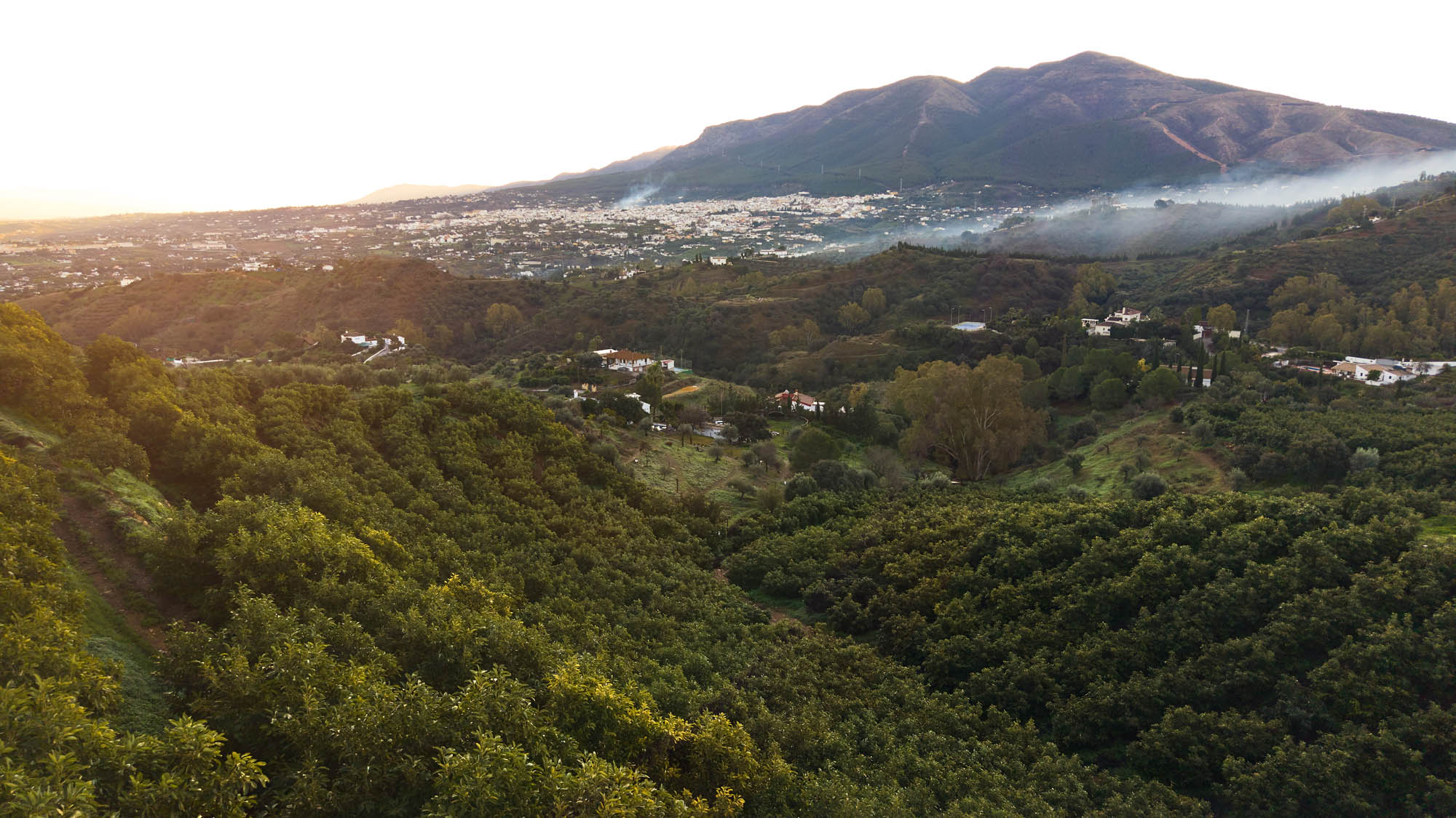 DJI_20251222090319_0255_D